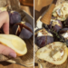 Очень простая и невероятно вкусная закуска к вину из груши и инжира (РЕЦЕПТ)