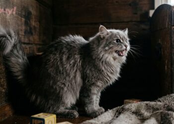 Не игнорируйте эти звуки и запахи: 8 признаков того, что в вашем жилище появилась нечистая сила