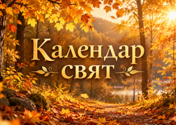 Кого поздравлять в конце осени: календарь профессиональных и государственных праздников на ноябрь